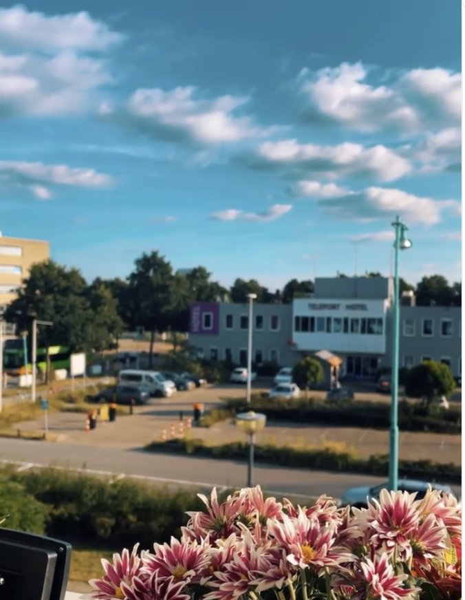 Video 5